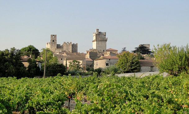 Village of Saint-Laurent-des-Arbres