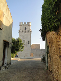 tower of saint laurent des arbres