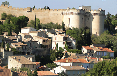 castel of villeneuve les avignon